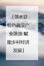 邻水县：特色蔬菜产业蓬勃 赋能乡村经济发展