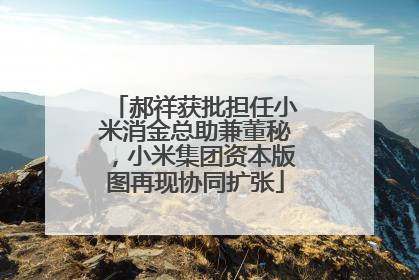 郝祥获批担任小米消金总助兼董秘，小米集团资本版图再现协同扩张