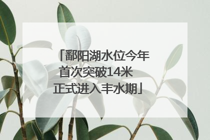 鄱阳湖水位今年首次突破14米 正式进入丰水期