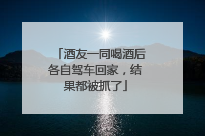 酒友一同喝酒后各自驾车回家，结果都被抓了