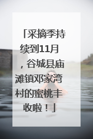 采摘季持续到11月，谷城县庙滩镇邓家湾村的蜜桃丰收啦！