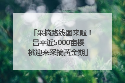 采摘路线图来啦！昌平近5000亩樱桃迎来采摘黄金期