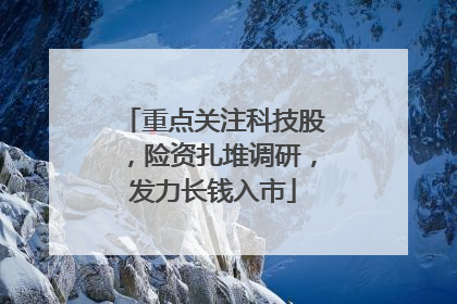 重点关注科技股，险资扎堆调研，发力长钱入市