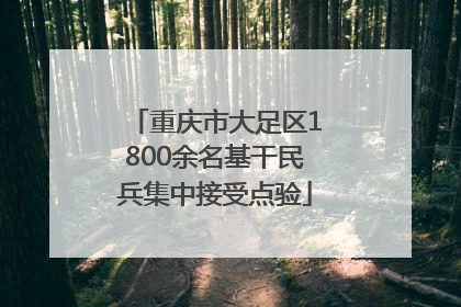 重庆市大足区1800余名基干民兵集中接受点验
