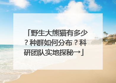 野生大熊猫有多少？种群如何分布？科研团队实地探秘→
