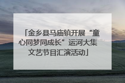 金乡县马庙镇开展“童心同梦同成长”运河大集文艺节目汇演活动