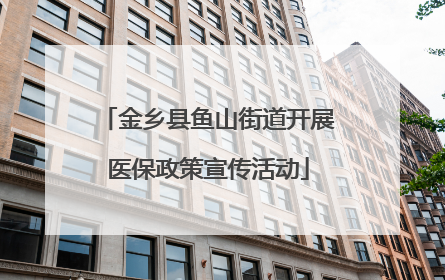 金乡县鱼山街道开展医保政策宣传活动