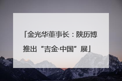 金光华董事长：陕历博推出“吉金·中国”展