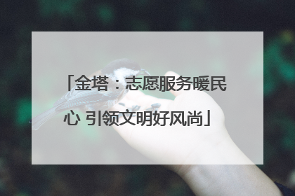 金塔：志愿服务暖民心 引领文明好风尚