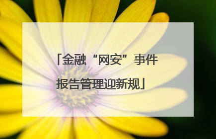 金融“网安”事件报告管理迎新规