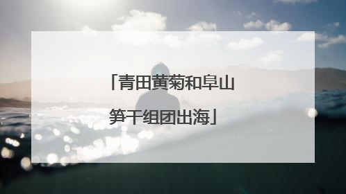 青田黄菊和阜山笋干组团出海