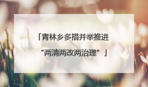 青林乡多措并举推进“两清两改两治理”