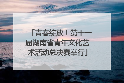 青春绽放！第十一届湖南省青年文化艺术活动总决赛举行