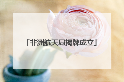 非洲航天局揭牌成立