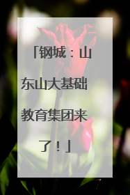钢城：山东山大基础教育集团来了！