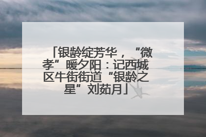 银龄绽芳华，“微孝”暖夕阳：记西城区牛街街道“银龄之星”刘茹月