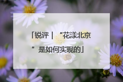 锐评｜“花漾北京”是如何实现的