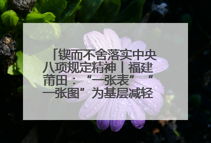 锲而不舍落实中央八项规定精神丨福建莆田：“一张表”“一张图”为基层减轻“数字负担”