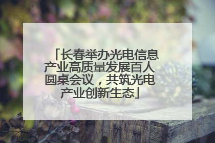 长春举办光电信息产业高质量发展百人圆桌会议，共筑光电产业创新生态