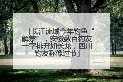 长江流域今年钓鱼“解禁”，安徽数百钓友一字排开如长龙，四川钓友称像过节