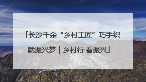 长沙千余“乡村工匠”巧手织就振兴梦｜乡村行·看振兴