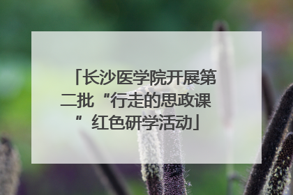 长沙医学院开展第二批“行走的思政课”红色研学活动