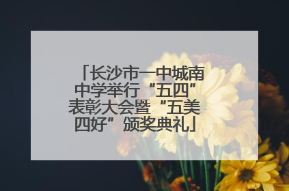 长沙市一中城南中学举行“五四”表彰大会暨“五美四好”颁奖典礼