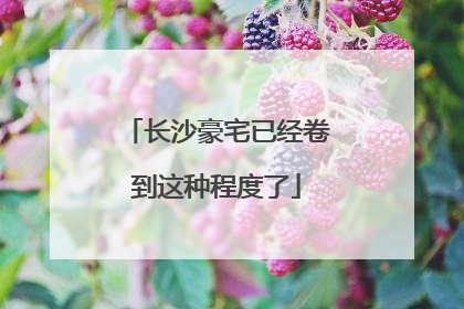 长沙豪宅已经卷到这种程度了