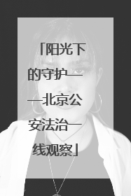 阳光下的守护——北京公安法治一线观察