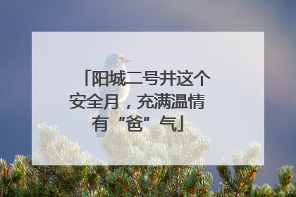 阳城二号井这个安全月，充满温情有“爸”气