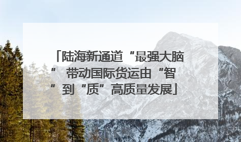 陆海新通道“最强大脑” 带动国际货运由“智”到“质”高质量发展