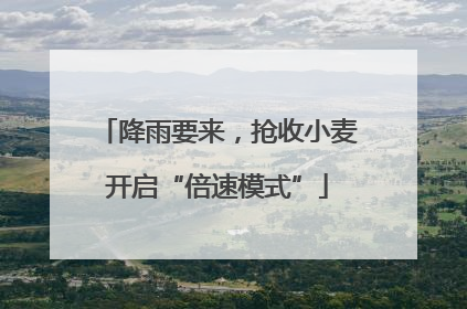 降雨要来，抢收小麦开启“倍速模式”