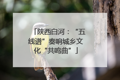 陕西白河：“五线谱”奏响城乡文化“共鸣曲”