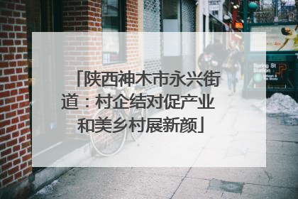 陕西神木市永兴街道：村企结对促产业 和美乡村展新颜