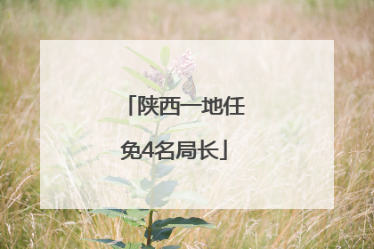 陕西一地任免4名局长