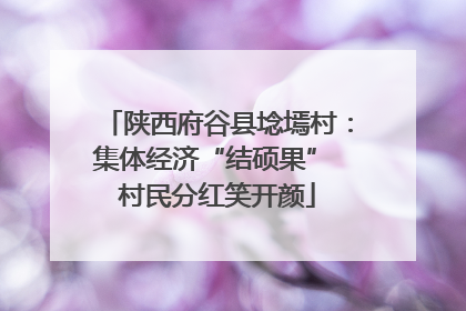 陕西府谷县埝墕村：集体经济“结硕果” 村民分红笑开颜