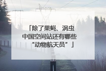 除了果蝇、涡虫 中国空间站还有哪些“动物航天员”