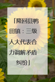 隆回县鸭田镇：三级人大代表合力调解矛盾纠纷