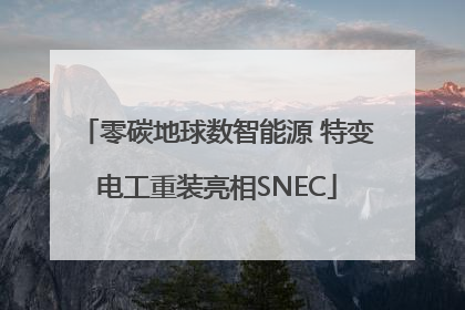 零碳地球数智能源 特变电工重装亮相SNEC