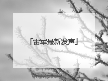 雷军最新发声