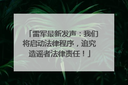 雷军最新发声：我们将启动法律程序，追究造谣者法律责任！