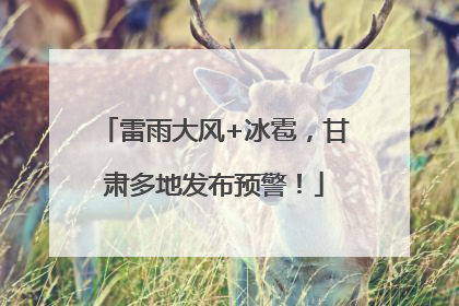 雷雨大风+冰雹，甘肃多地发布预警！