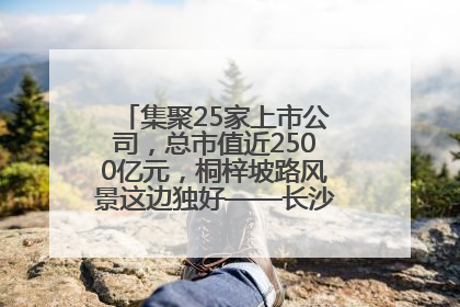 集聚25家上市公司，总市值近2500亿元，桐梓坡路风景这边独好——长沙有条“上市路”