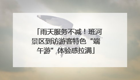 雨天服务不减！班河景区到访游客特色“端午游”体验感拉满
