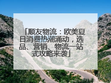 顺友物流：欧美夏日消费热潮涌动，选品、营销、物流一站式攻略来袭