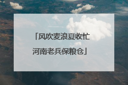 风吹麦浪夏收忙 河南老兵保粮仓