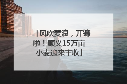 风吹麦浪，开镰啦！顺义15万亩小麦迎来丰收