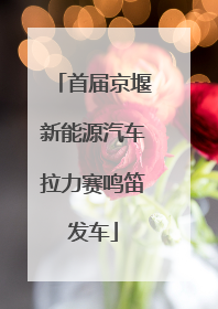首届京堰新能源汽车拉力赛鸣笛发车