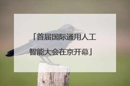 首届国际通用人工智能大会在京开幕