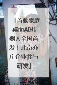 首款家庭桌面AI机器人全国首发！北京亦庄企业参与研发